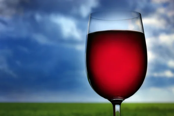 Víno venku — Stock fotografie