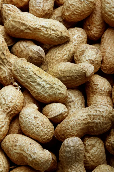 stock image Peanuts