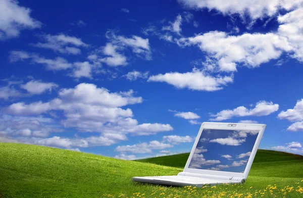 stock image Green Field and a laptop