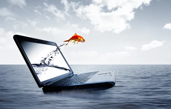Goldfish pular para fora do monitor — Fotografia de Stock
