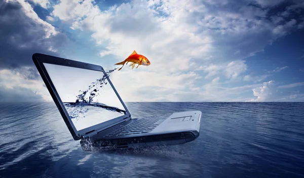 Goldfish saltar para fora do monitor no oceano — Fotografia de Stock