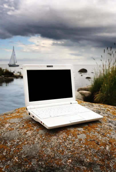 Laptop branco na natur — Fotografia de Stock