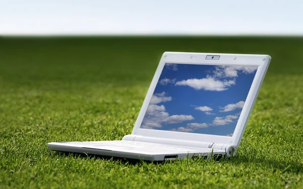 Weißer Laptop in der Natur — Stockfoto