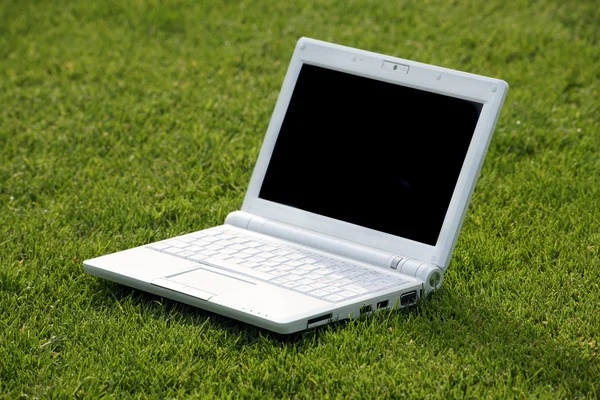 Laptop branco na natureza — Fotografia de Stock