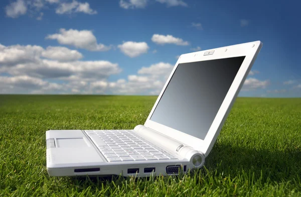 Witte laptop in de natuur — Stockfoto