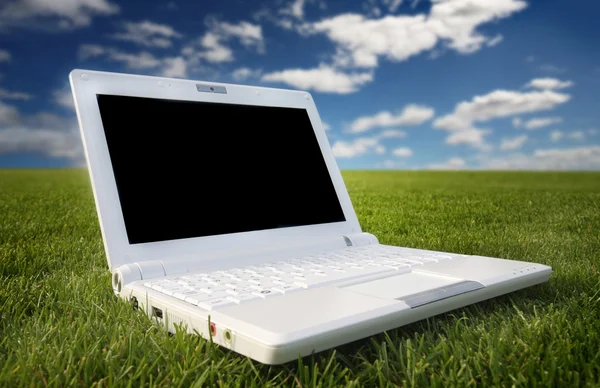 A természetben fehér laptop — Stock Fotó