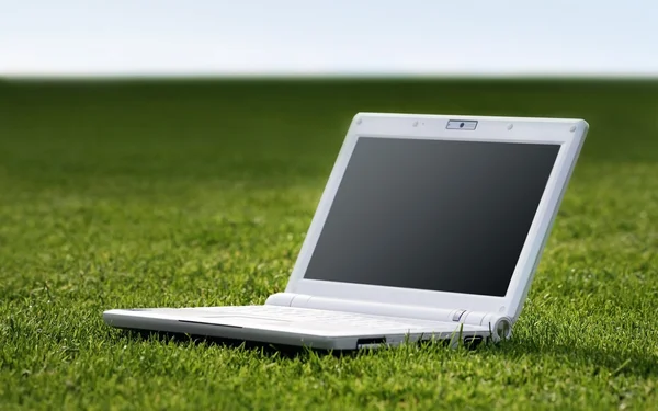 White laptop in nature — Stock Photo, Image