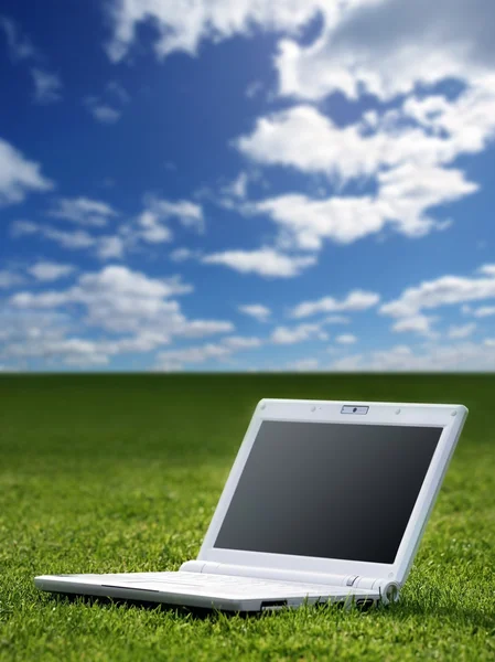Witte laptop in de natuur — Stockfoto