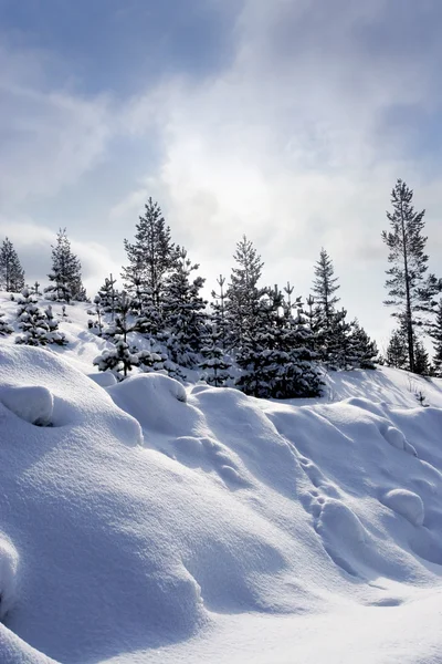 Inverno sueco — Fotografia de Stock