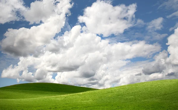 Peisaj verde câmp — Fotografie, imagine de stoc