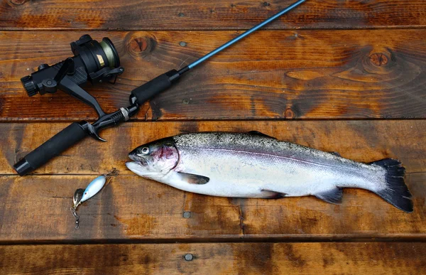 Freshly caught salmon lying on the footbridge with fishing rod — Stock Photo, Image