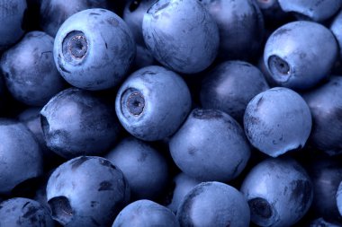 Blueberries clipart