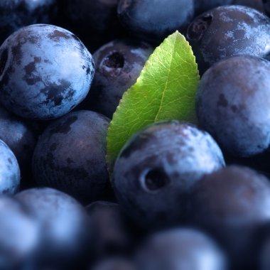 Macro shot of wet fresh blueberry clipart