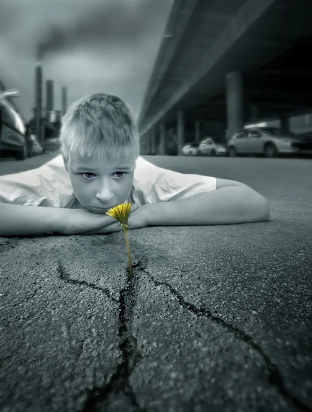 Junge und eine Blume — Stockfoto