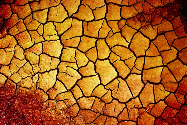 Tierra seca —  Fotos de Stock