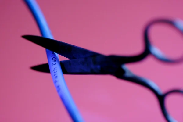 Ciseaux coupant un câble bleu — Photo