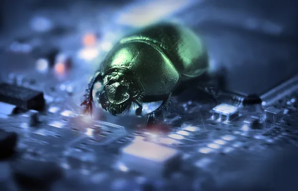 Bug on a computer chip — Stock Photo, Image