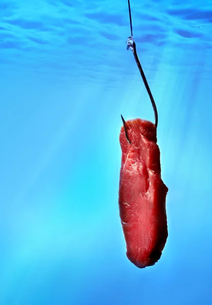 Um gancho com carne em água azul — Fotografia de Stock