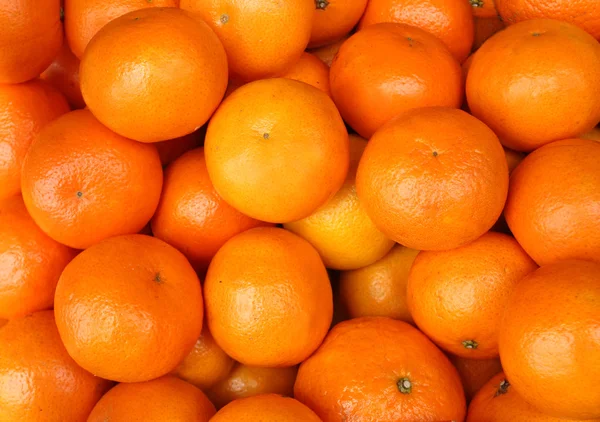 stock image Big oranges