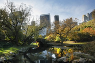 NYC 'deki Central Park