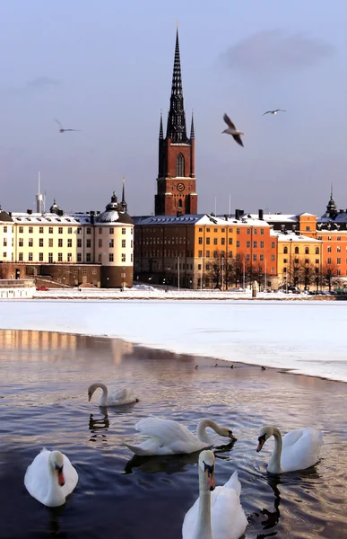 Ciudad de Estocolmo — Foto de Stock