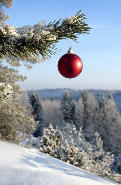 つまらないもので覆われているクリスマス ツリーに掛かっています。 — ストック写真
