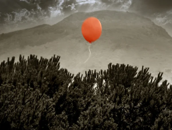 Czerwony-ballon — Zdjęcie stockowe