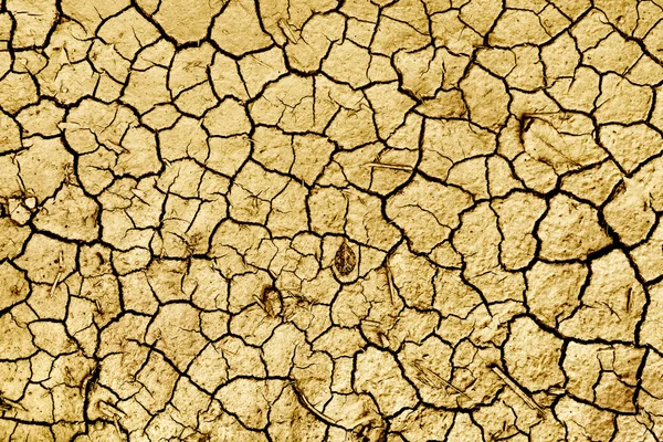 Imagen de tierra seca —  Fotos de Stock