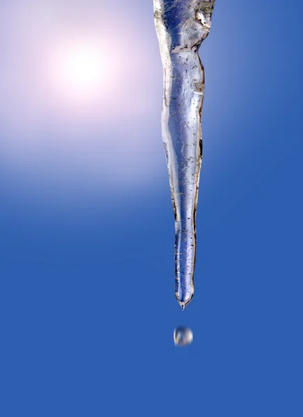 Stock image Icicles