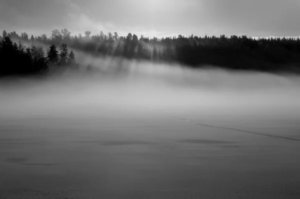 Reggel köd — Stock Fotó