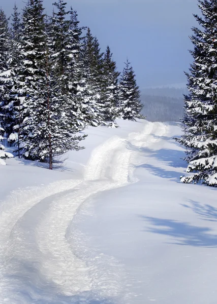 Schwedischer Winter — Stockfoto