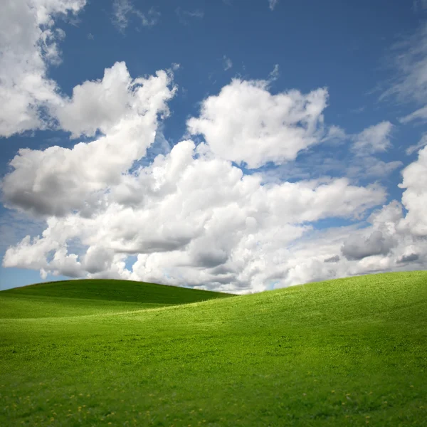 Grönt fält Landskap — Stockfoto