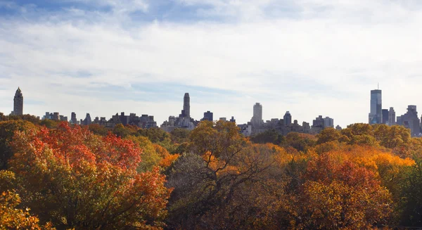 Central Park in NYC — Stock Photo, Image