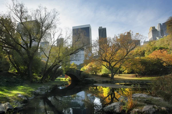 Central park in New York — Stockfoto