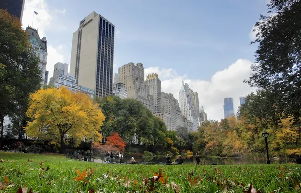 Central Park em Nova York — Fotografia de Stock