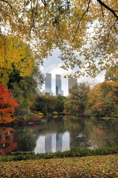 Central Park em Nova York — Fotografia de Stock