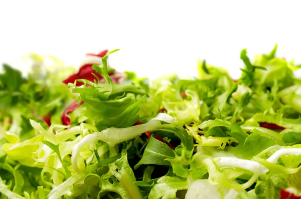 Salade op witte achtergrond — Stockfoto