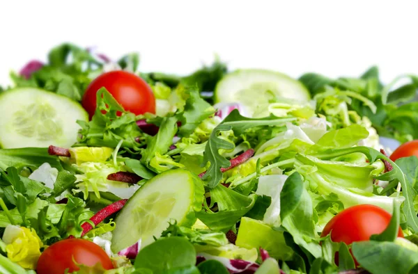 Beyaz zemin üzerine salata — Stok fotoğraf
