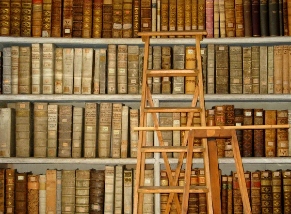 Oude bibliotheek — Stockfoto