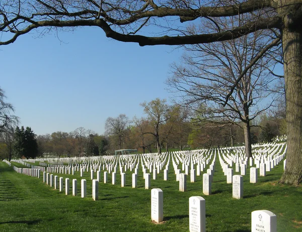 stock image Cemetery