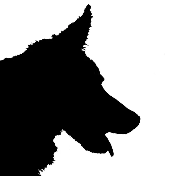 Силуэт для собак — стоковое фото