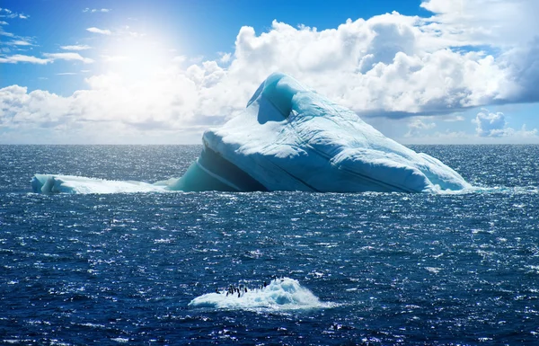 Isla de hielo antártico —  Fotos de Stock