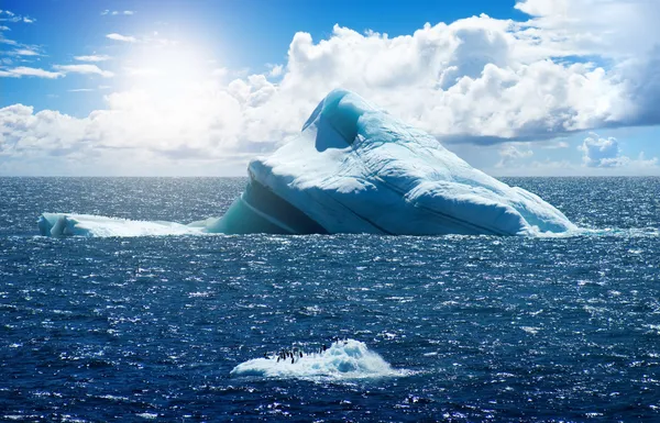 Antarktika buz ada Stok Fotoğraf