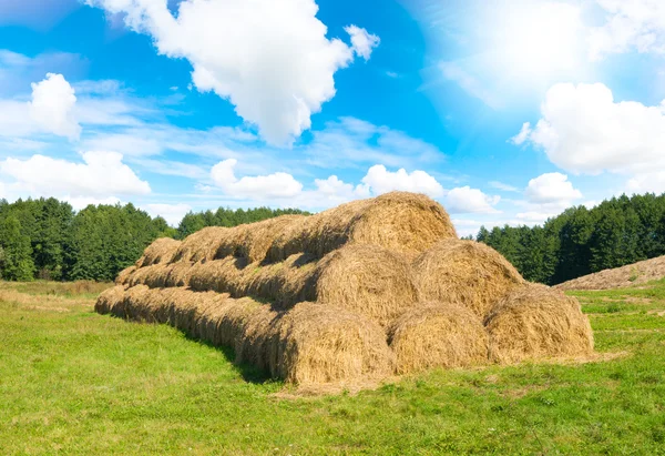 Pšenice stohy sena — Stock fotografie