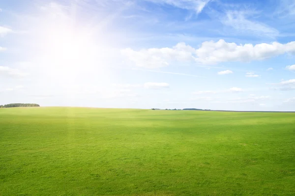 绿草山在正午的阳光在蓝蓝的天空下. — 图库照片