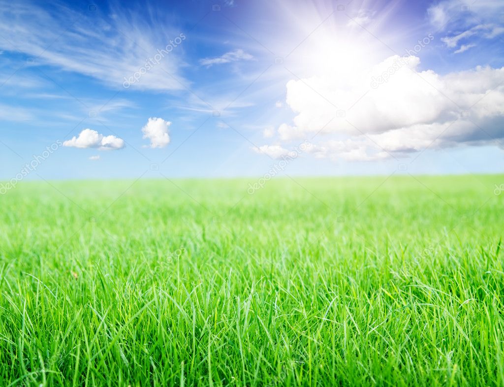 Green grass field under midday sun on blue sky.