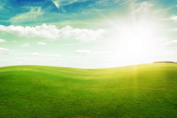 푸른 하늘에 한낮의 태양 아래 푸른 잔디 언덕. — 스톡 사진