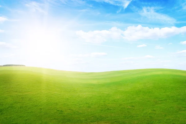 Zielone pole pod słońcem południa — Zdjęcie stockowe