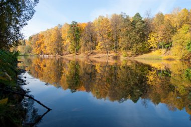 Mavi göle yakın pastoral park alanı