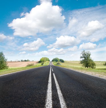 Asphalt road in green meadow. Belarus. Sepia effect. clipart